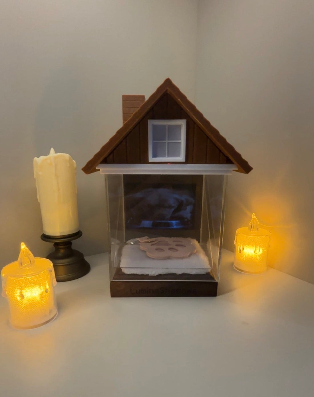 Finding a Forever Place for My Best Friend: A Story of Light, Memory and Love