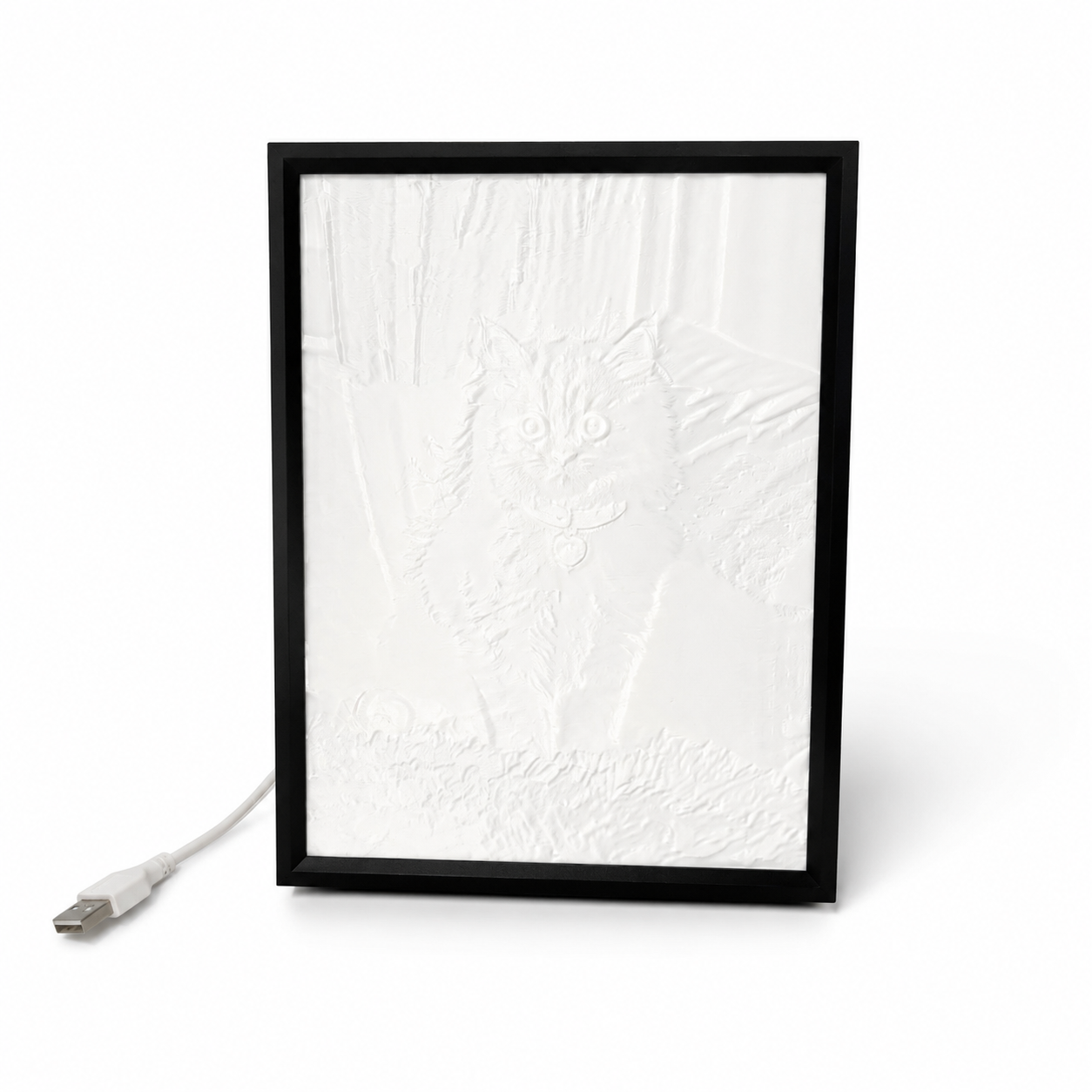 USB plug-in custom pet cat lithophane portrait with soft white relief design